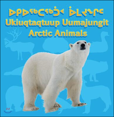 Arctic Animals