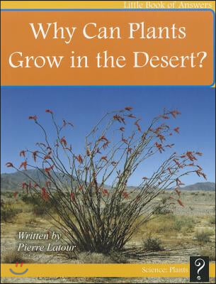 Why Can Plants Grow in the Desert?