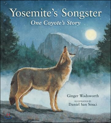 Yosemite&#39;s Songster: One Coyote&#39;s Story