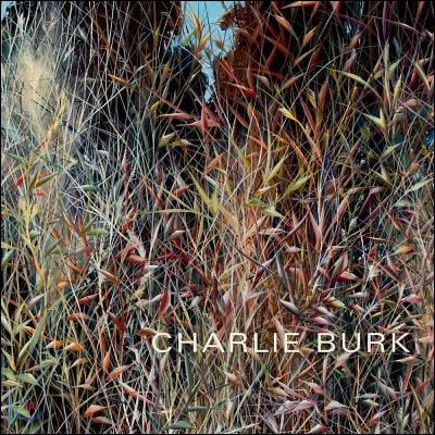 Charlie Burk: Journey in Abstraction