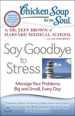 Chicken Soup for the Soul: Say Goodbye to Stress: Manage Your Problems, Big and Small, Every Day