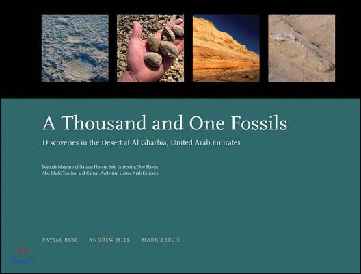 A Thousand and One Fossils: Discoveries in the Desert at Al Gharbia, United Arab Emirates