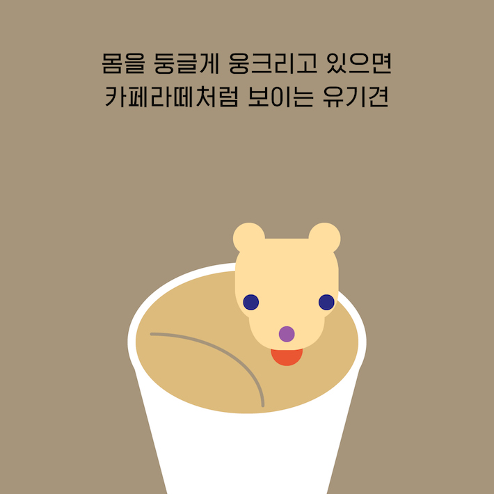 카드뉴스8