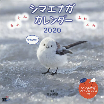 もふもふふわふわ シマエナガ カレンダ? 2020