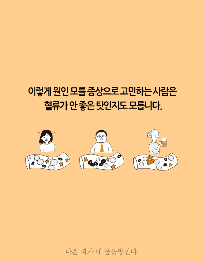 카드뉴스