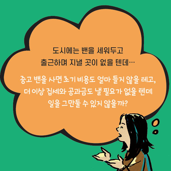 카드뉴스