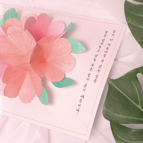 입체 벚꽃 엽서 만들기 패키지 DIY (5인)