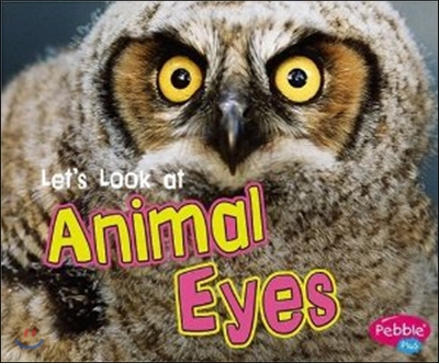 Let&#39;s Look at Animal Eyes