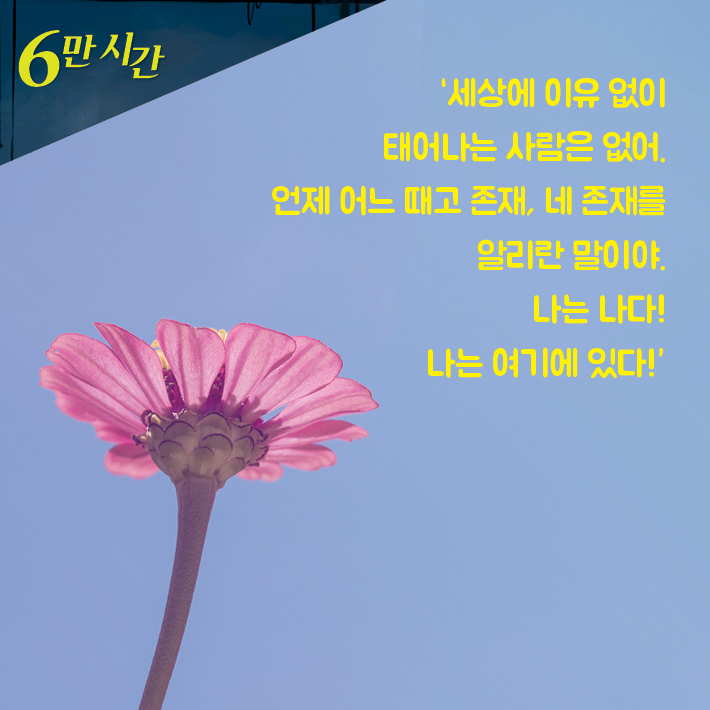카드뉴스4