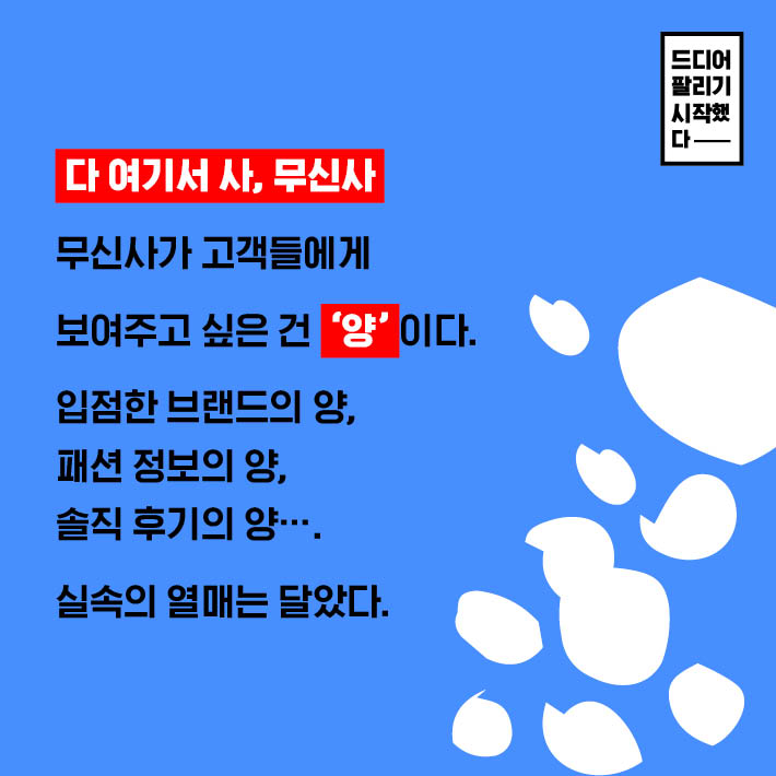 카드뉴스12