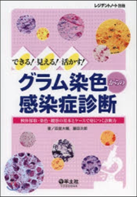 グラム染色からの感染症診斷 檢體採取.染