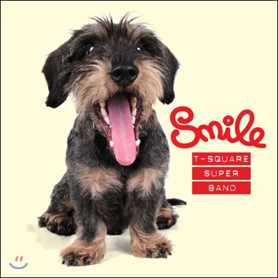 T-Square Super Band - Smile