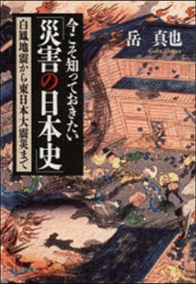 今こそ知っておきたい「災害の日本史」