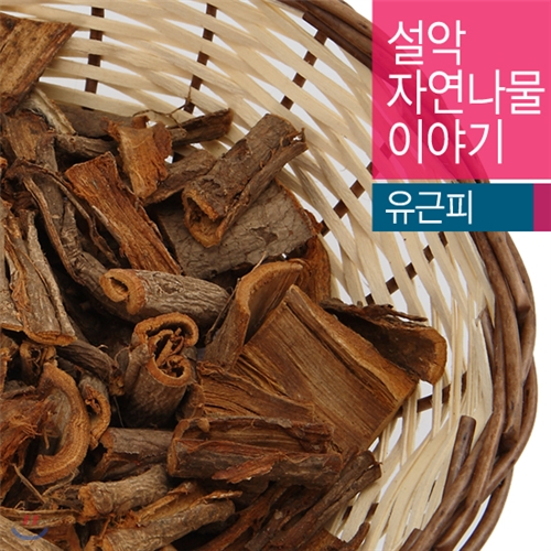 [설악사람들]자연산 유근피 600g/강원도/설악산/국내산/산지직송/자연건조