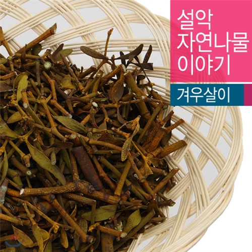 [설악사람들]자연산 겨우살이 600g(건나물)/강원도/설악산/국내산/산지직송/자연건조/밑반찬