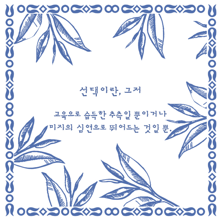 카드뉴스12