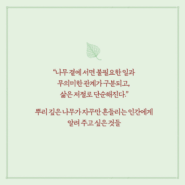 카드뉴스24