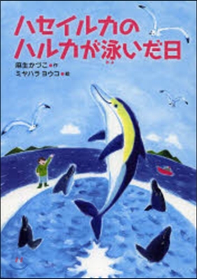 ハセイルカのハルカが泳いだ日