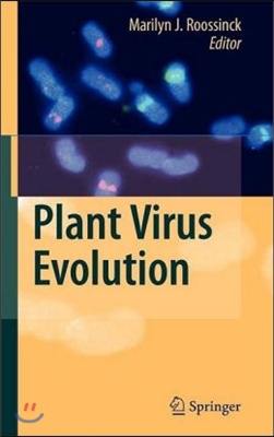 Plant Virus Evolution