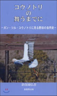 コウノトリの舞うまでに