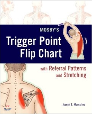 Mosby's Trigger Point Flip Chart with Referral Patterns and Stretching