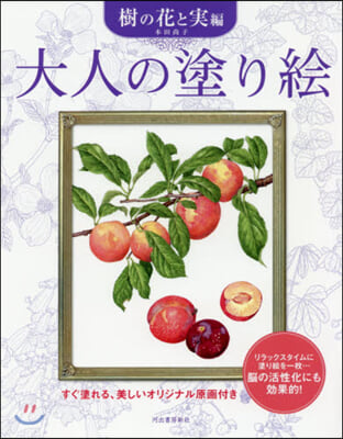 大人の塗り繪 樹の花と實編 新裝版