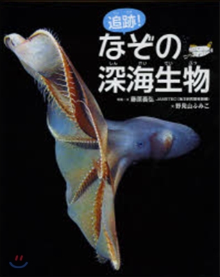 追跡!なぞの深海生物