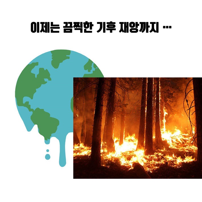 카드뉴스5