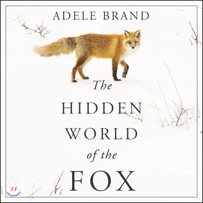 The Hidden World of the Fox