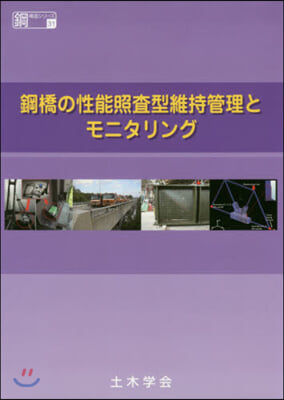 鋼橋の性能照査型維持管理とモニタリング