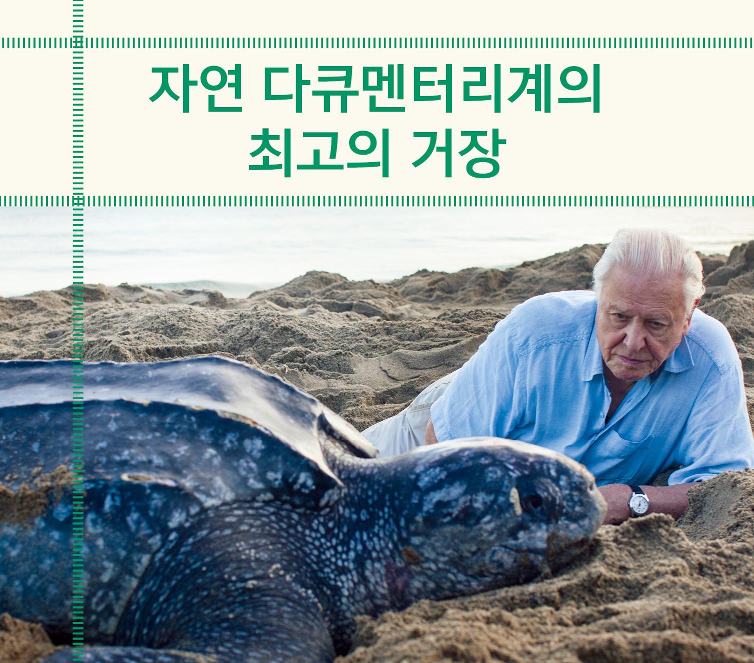 카드뉴스1