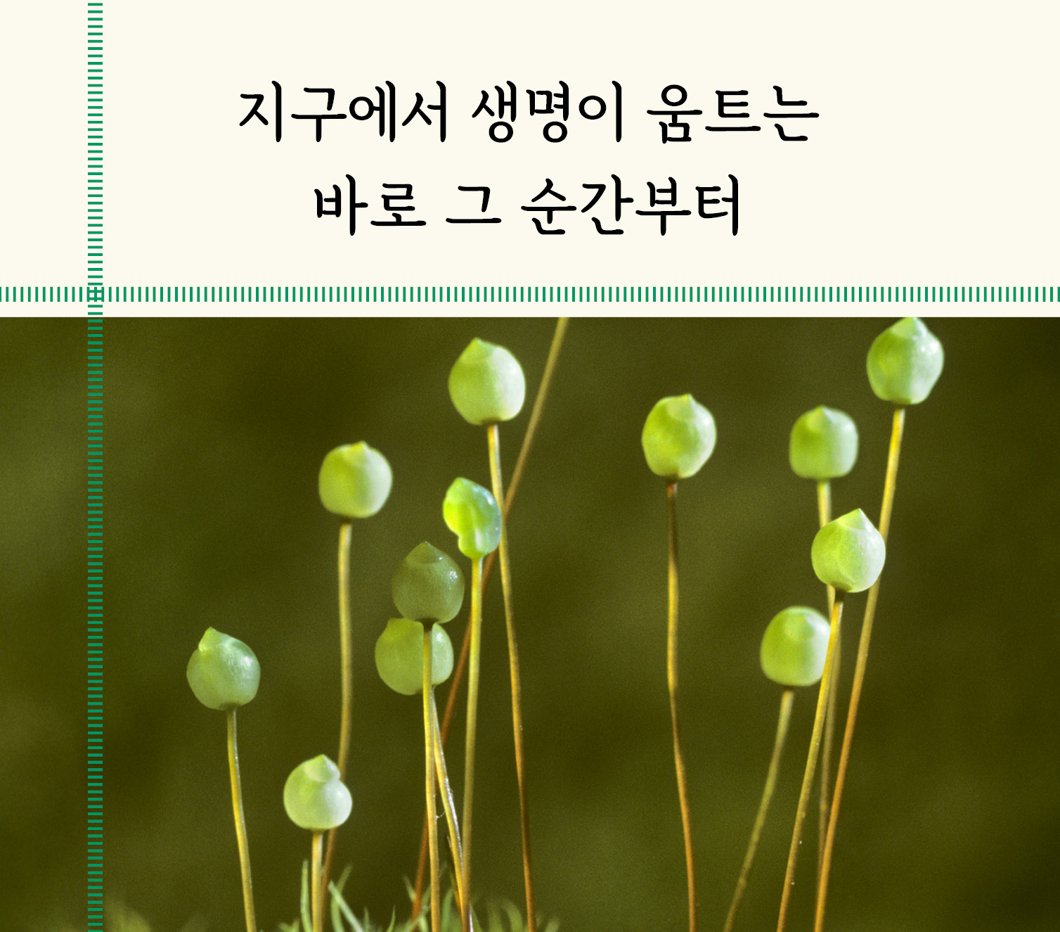 카드뉴스3