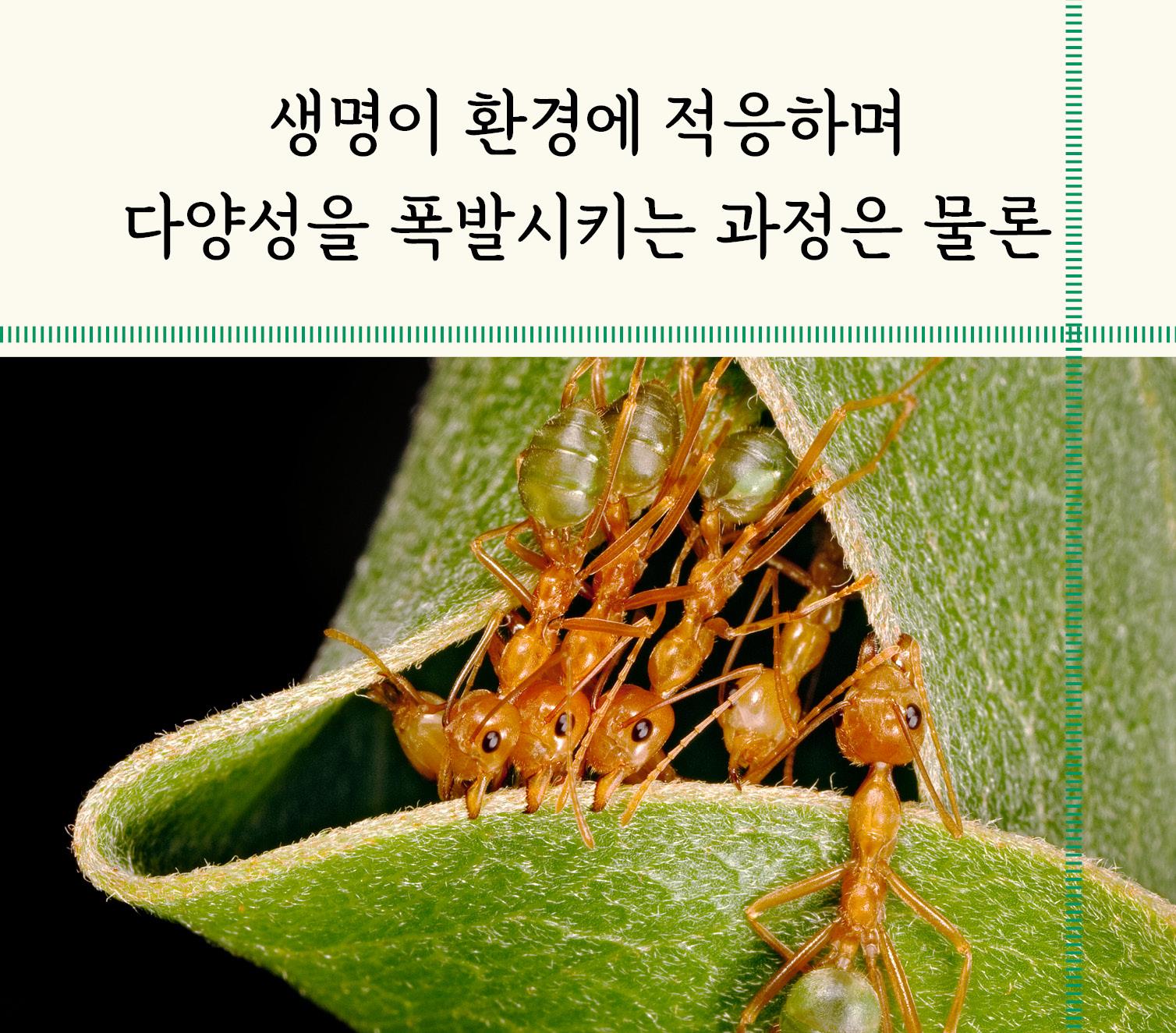 카드뉴스4