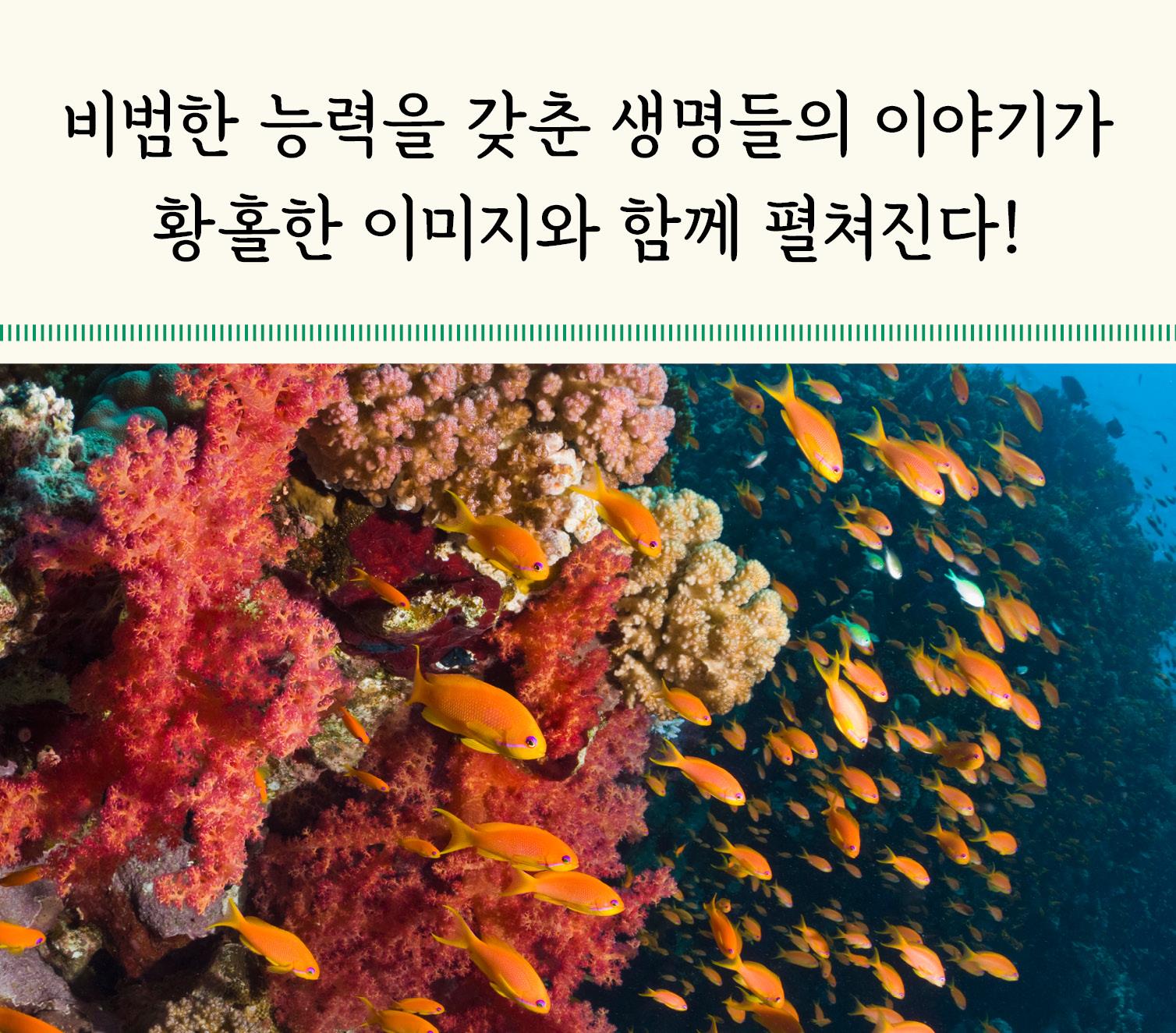 카드뉴스5