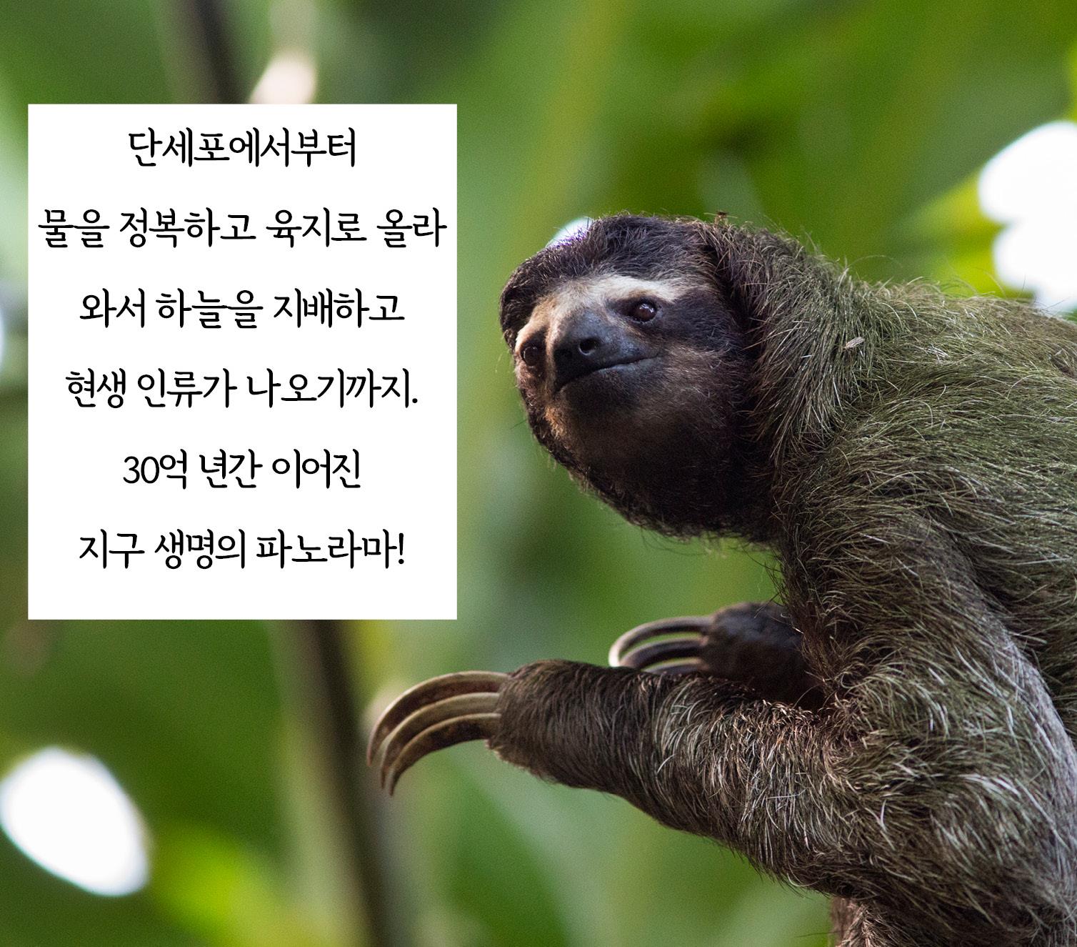 카드뉴스6