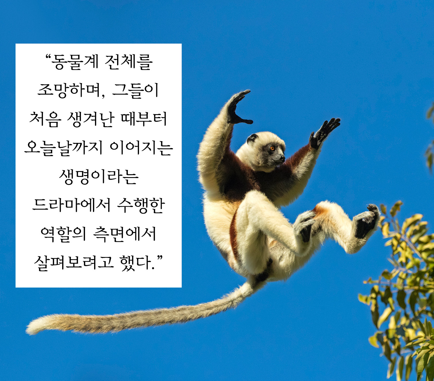 카드뉴스7