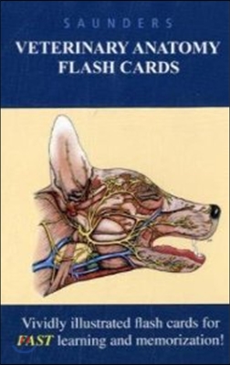 Saunders Veterinary Anatomy Flash Cards