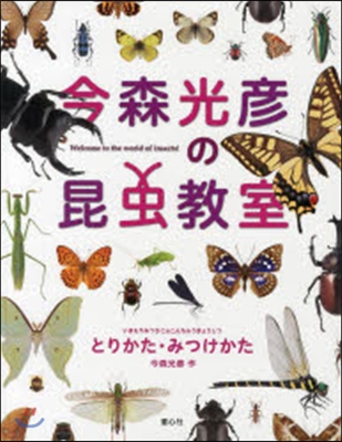 今森光彦の昆蟲敎室 とりかた.みつけかた