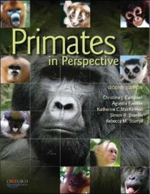 Primates in Perspective