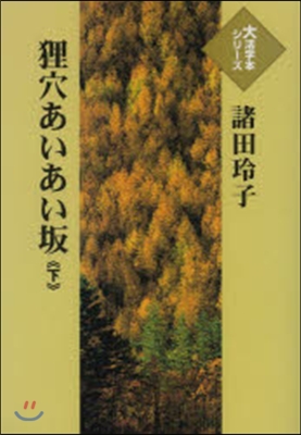 狸穴あいあい坂 下