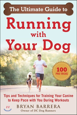 The Ultimate Guide to Running with Your Dog: Tips and Techniques for Understanding Your Canine's Fitness and Running Temperament