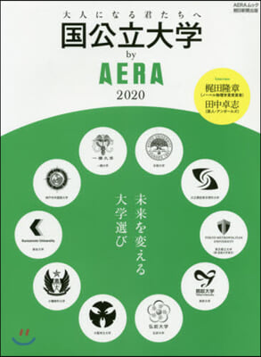 國公立大學 by AERA 2020 