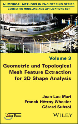 Geometric and Topological Mesh Feature Extraction for 3D Shape Analysis