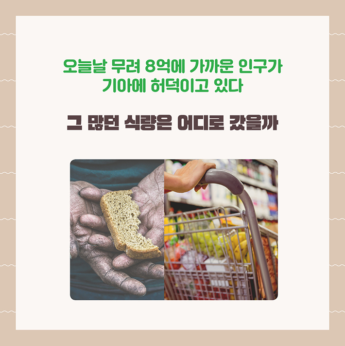 카드뉴스3