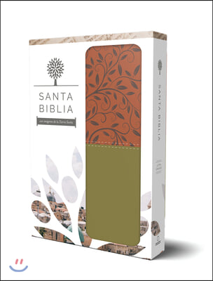 Santa Biblia Rvr 1960 - Letra Grande, Imitacion Piel Verde/Marron, Imagenes de de Tierra Santa / Spanish Holy Bible Rvr 1960 - Large Print