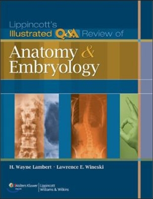 Lippincott&#39;s Illustrated Q&amp;A Review of Anatomy and Embryology