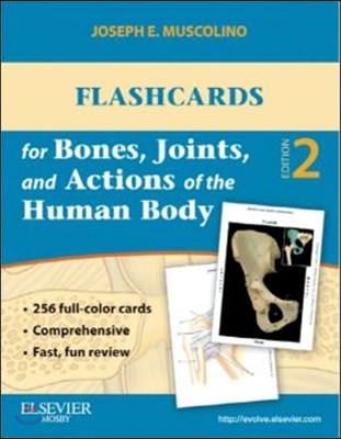 Flashcards for Bones, Joints, and Actions of the Human Body