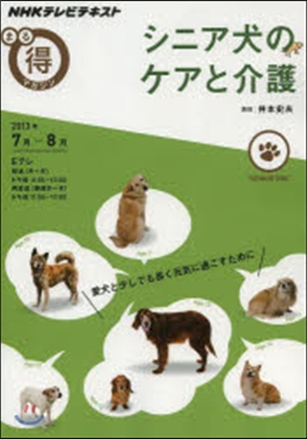 シニア犬のケアと介護