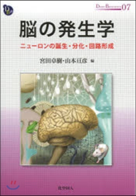 腦の發生學－ニュ-ロンの誕生.分化.回路