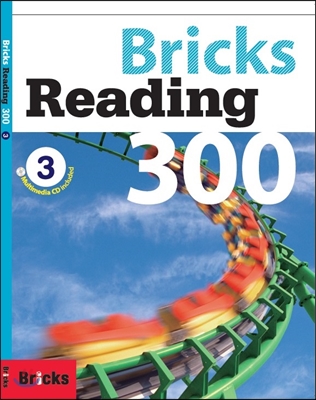 Bricks Reading 300 L2